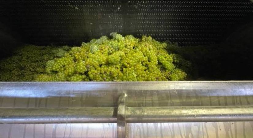 Vendanges Crémants 2022