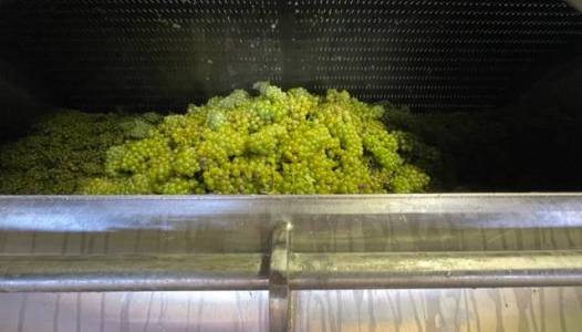 Vendanges Crémants 2022